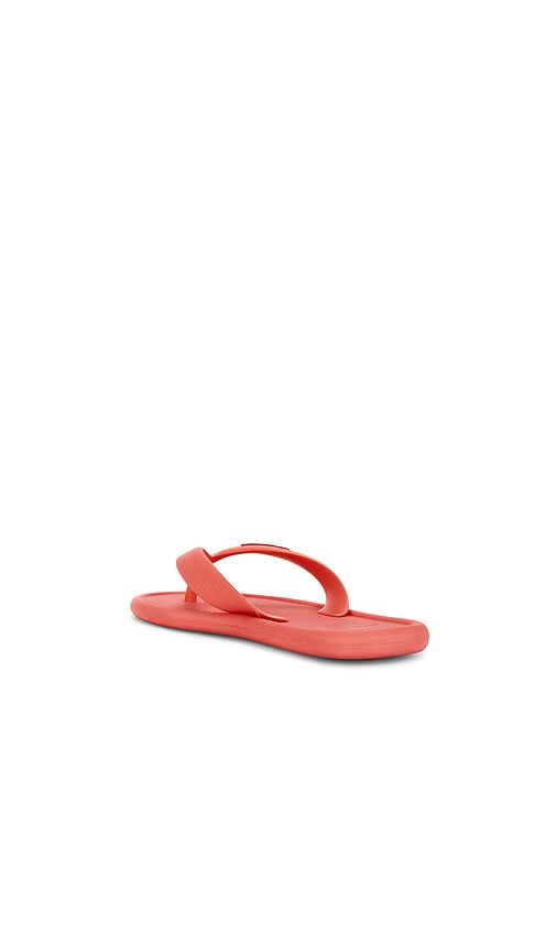 Puffed Up Sandal in . Taglia 35/36. Also in 41/42 - Havaianas - Modalova