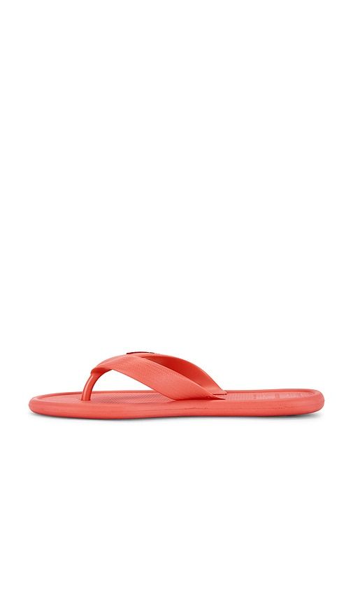 Puffed Up Sandal in . Taglia 35/36. Also in 41/42 - Havaianas - Modalova