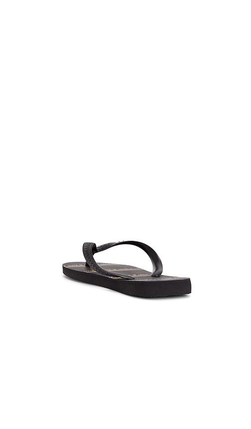 SANDALE TOP PRIDE in . Größe 35/36. Also in 37/38, 39/40, 41/42 - Havaianas - Modalova