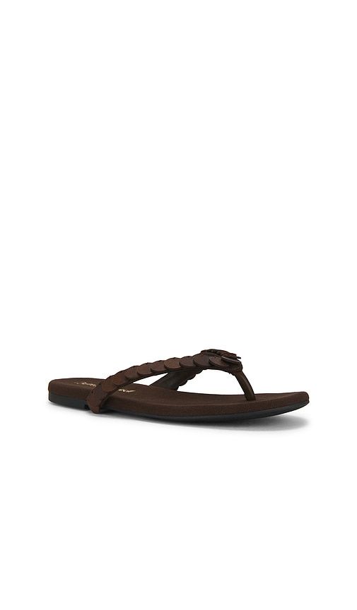 Moana Sandal in Chocolate. - size 6 (also in 6.5, 7, 8.5, 9.5) - Jeffrey Campbell - Modalova