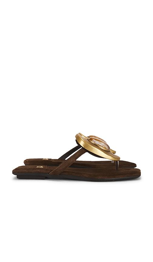 Bazaar Flat Sandal in Brown. - size 7.5 (also in 8) - Jeffrey Campbell - Modalova