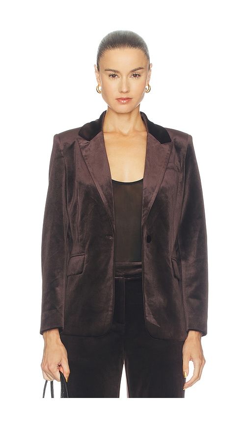 Shon Velvet Jacket in Brown. - size L (also in M, S, XS) - Karina Grimaldi - Modalova