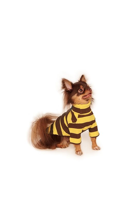 Striped Shirt in ,. - size S (also in ) - Little Beast - Modalova
