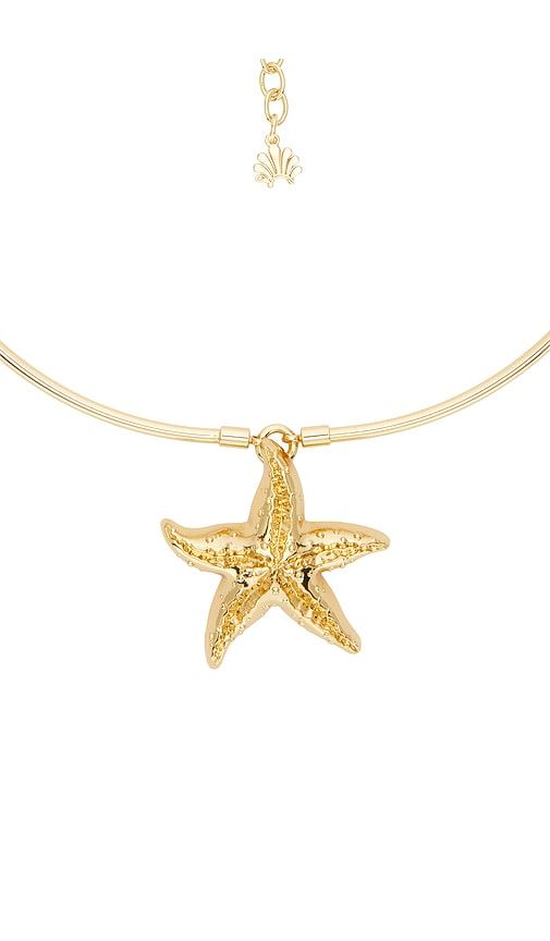 Starfish Collar Necklace in Metallic - Lele Sadoughi - Modalova