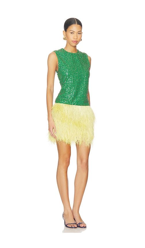 Embroidered Dress in Green. - size L (also in S) - LA FUORI - Modalova