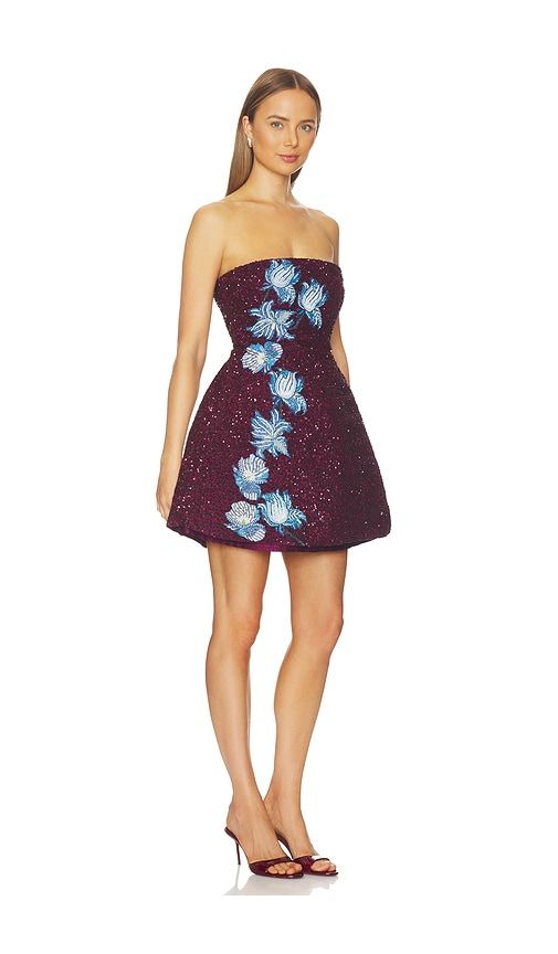 Embroidered Dress in Wine. - size M (also in L, XL) - LA FUORI - Modalova