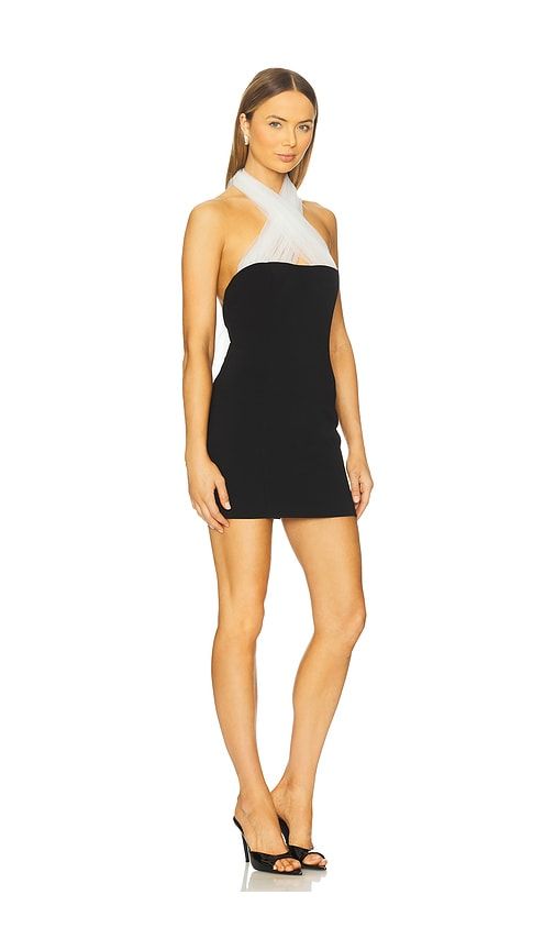 Dita Mini Dress in ,. - size M (also in S, XS) - Lovers and Friends - Modalova