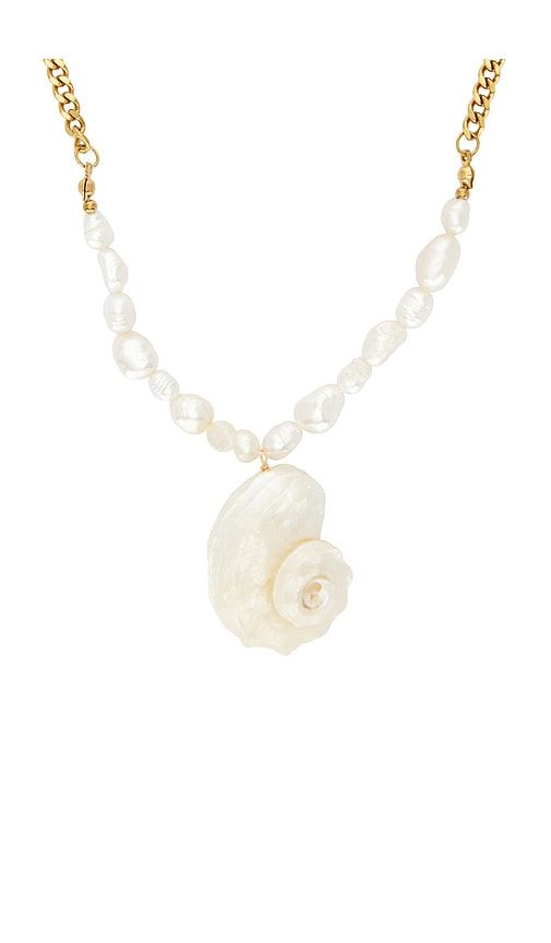 Eden Shell Necklace in Metallic Gold - Lovers and Friends - Modalova