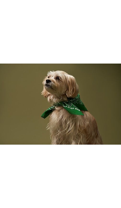 Lil Luv Dog Bandana in Green - Lil Luv Dog - Modalova