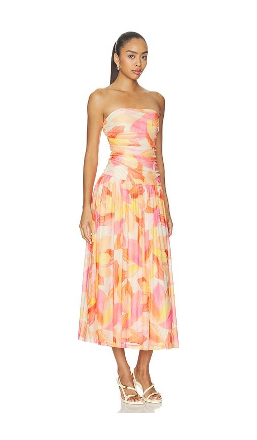 Solana Mesh Midi Dress in Multi. - size L (also in M, S, XL, XS) - MINKPINK - Modalova