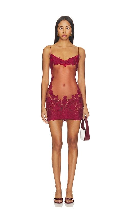 Anemone Mini Dress in Red. - size M (also in S, XS) - Mirror Palais - Modalova