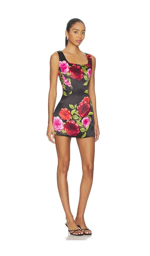 Moschata Vines Eris Mini Dress in . - size L (also in M, XS) - Muma World - Modalova