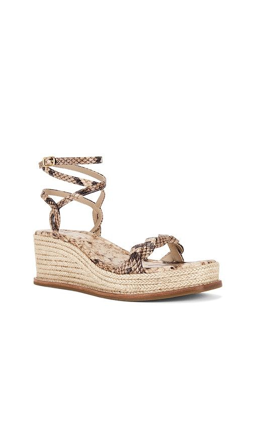 Joanna Sandal in Brown. - size 6 (also in 7.5, 8, 8.5, 10) - PAIGE - Modalova