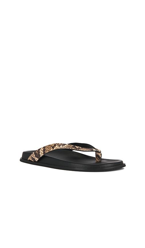 Zadie Sandal in . - size 6 (also in 6.5, 7, 8, 8.5) - PAIGE - Modalova