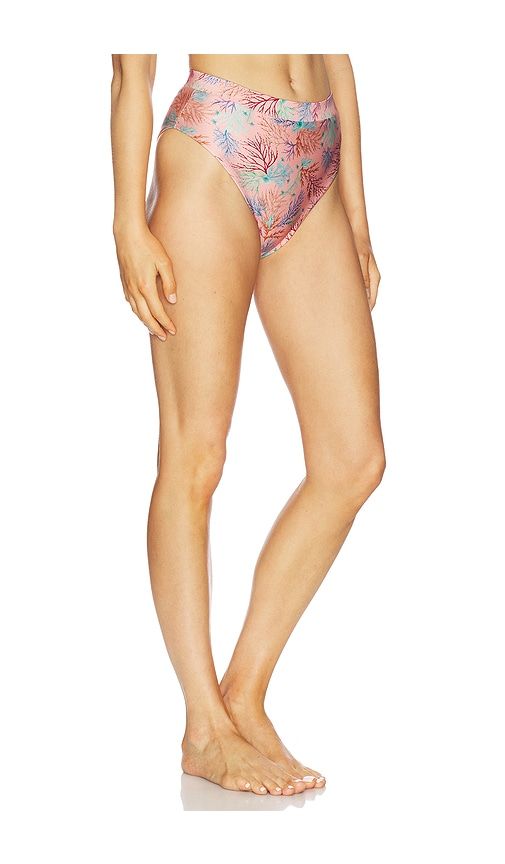 Seaweed High Waist Bikini Bottom in . - size M (also in XS, XL) - PatBO - Modalova