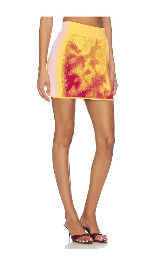 Alani Window Print Mini Skirt in Orange. - size L (also in M, S, XS) - PH5 - Modalova