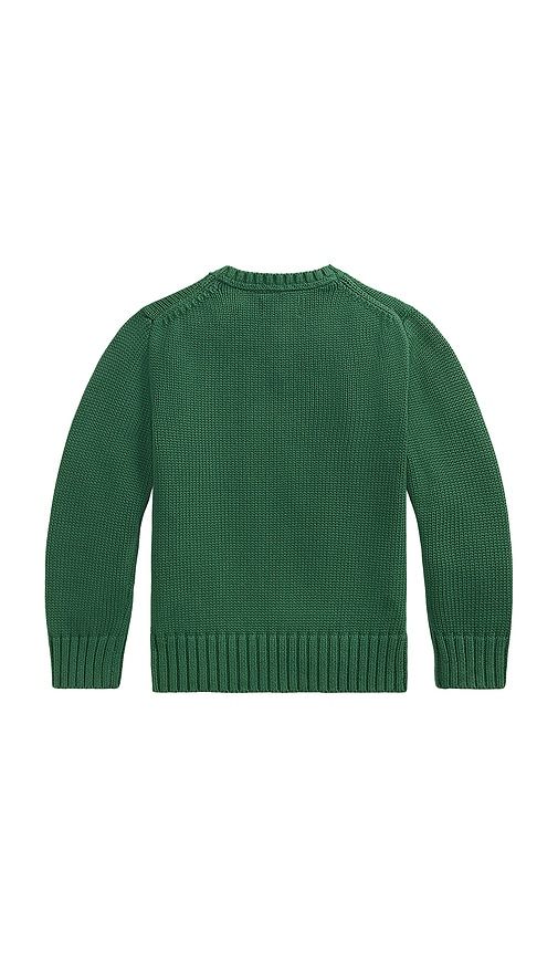 Kids G-sleeve Combed Cotton Crewneck Sweater in Green. - size 2 (also in 3, 4, 5, 6) - Polo Ralph Lauren - Modalova