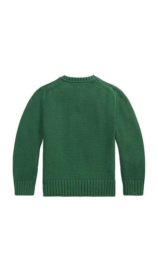 Kids G-sleeve Combed Cotton Crewneck Sweater in Green. - size 2 (also in 5, 6) - Polo Ralph Lauren - Modalova