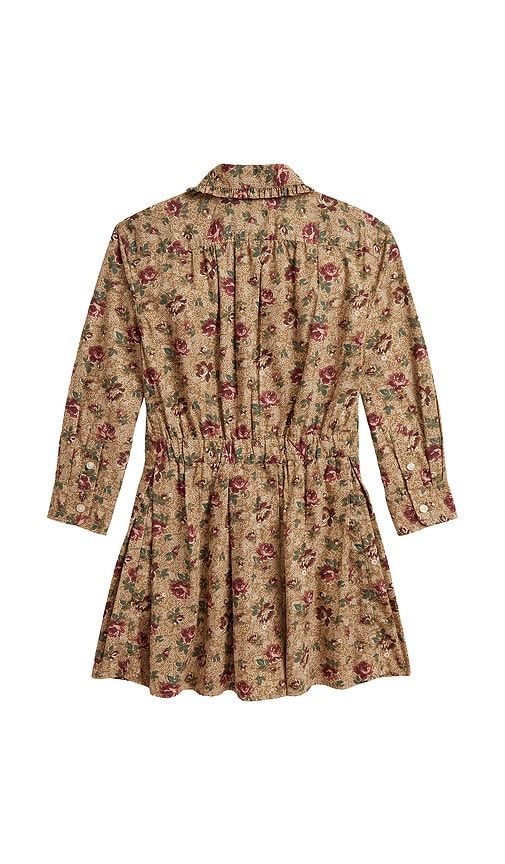 Kids Long-sleeve Poplin Floral Printed Collared Dress in Beige. - size 6 (also in 3, 5) - Polo Ralph Lauren - Modalova