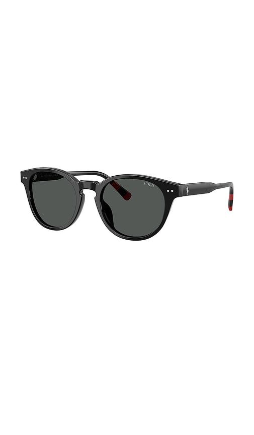 Phantos Sunglasses in - Polo Ralph Lauren - Modalova