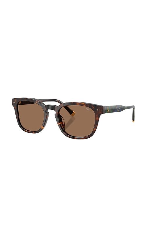 Square Sunglasses in - Polo Ralph Lauren - Modalova