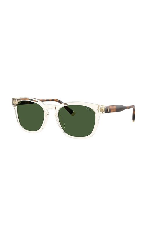 Square Sunglasses in - Polo Ralph Lauren - Modalova