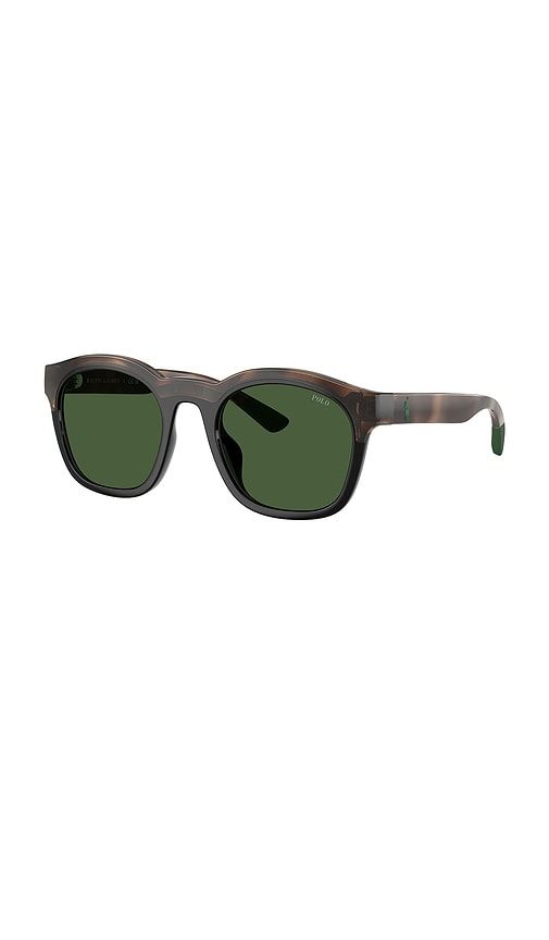 Square Sunglasses in - Polo Ralph Lauren - Modalova