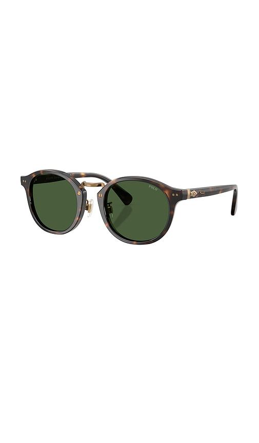 Circular Sunglasses in Brown - Polo Ralph Lauren - Modalova