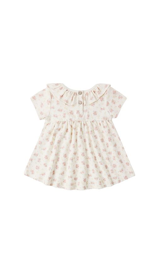 Ruffle Collar Jersey Dress in Ivory. - size 2-3yr (also in 4-5yr) - QUINCY MAE - Modalova