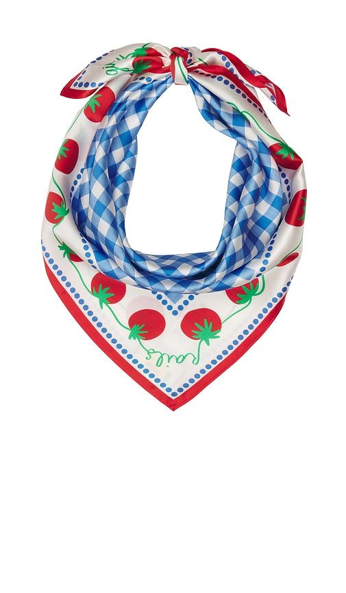 X Giadzy Cosima Scarf in Blue,White - Rails - Modalova