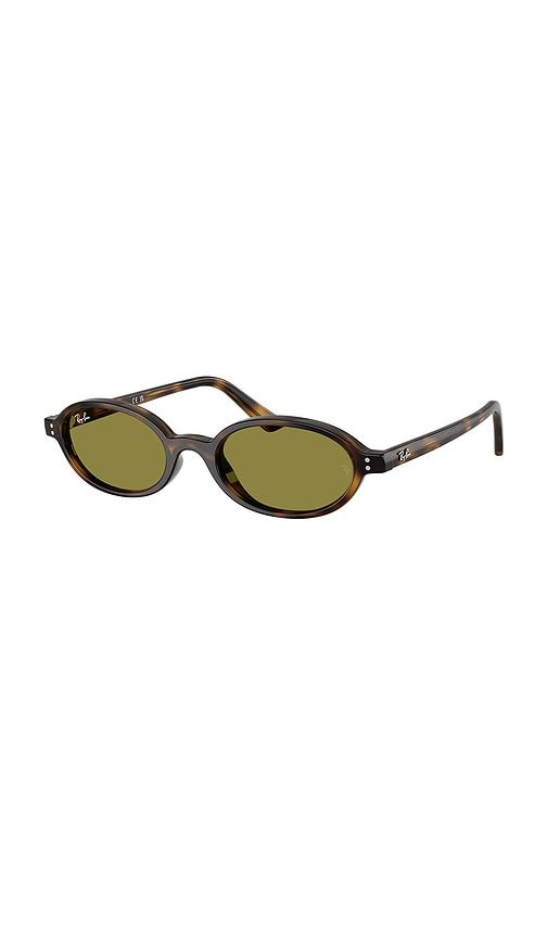 Ray-Ban Oval Sunglasses in Brown - Ray-Ban - Modalova