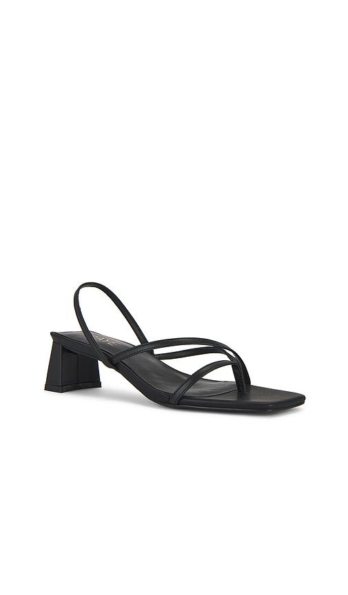 Porter Sandal in . - size 7 (also in 8) - RAYE - Modalova
