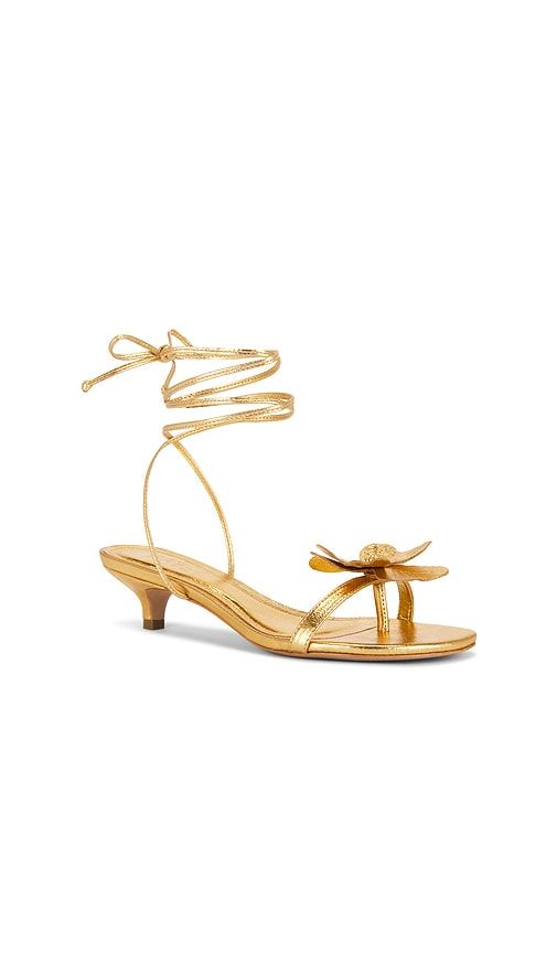 Catalina Sandal in Metallic . - size 6 (also in 7, 8, 9) - RAYE - Modalova