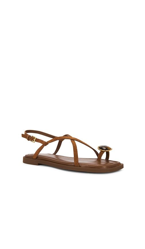 Remi Flat Sandal in Brown. - size 36 (also in 37, 38, 39, 40, 41) - Rag & Bone - Modalova