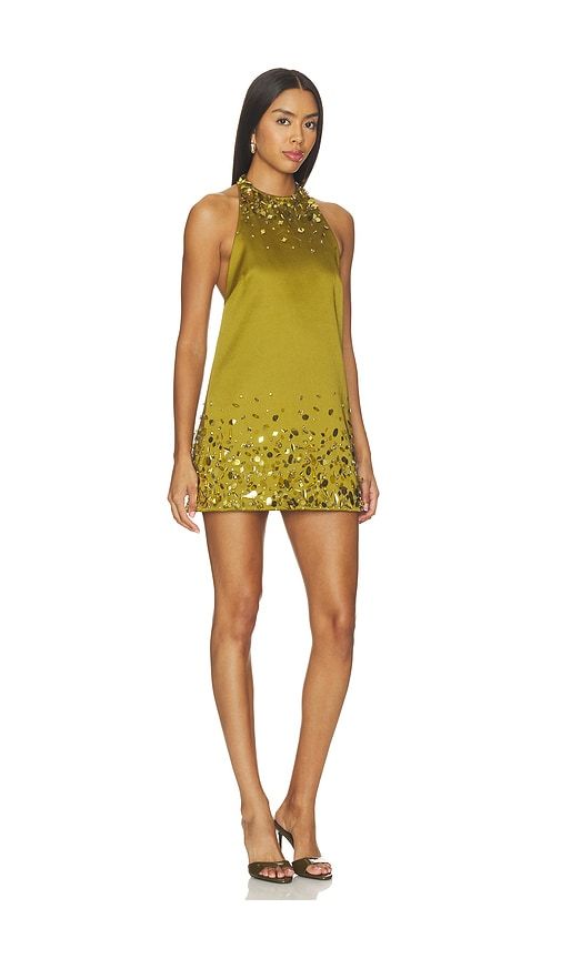 Tobonie Embroidered Dress in Green. - size L (also in XL) - retrofete - Modalova