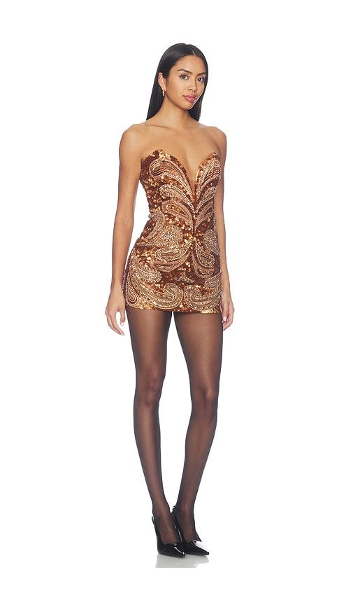 Circe Embroidered Dress in Brown. - size L (also in M, XL, XS, XXS) - retrofete - Modalova