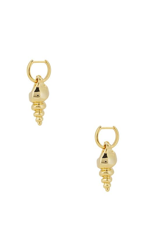 Conch Earrings in Metallic - Roxanne Assoulin - Modalova