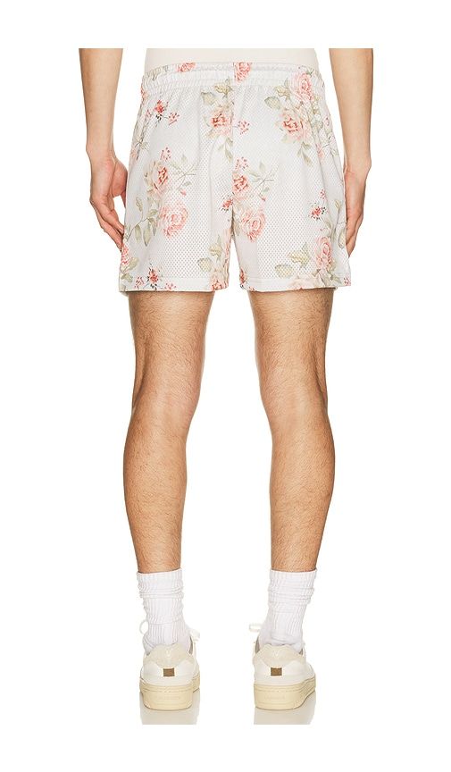 Cream Shorts in Cream. - size L (also in M, S, XL/1X) - Ryoko Rain - Modalova