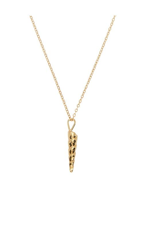 Espina Oro Necklace in Metallic - Studio Conchita - Modalova