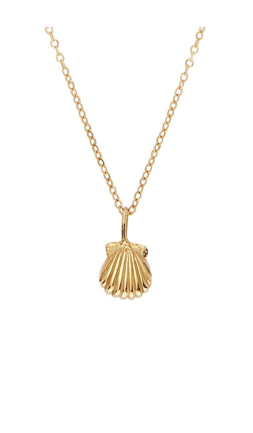 Conchita Necklace in Metallic - Studio Conchita - Modalova
