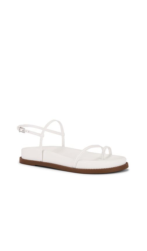 Azzy Sporty Sandal in . - size 10 (also in 8.5, 9.5) - Schutz - Modalova
