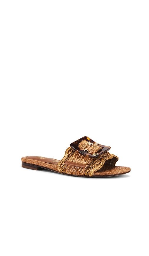 Bambi Sandal in Brown. - size 5 (also in 5.5, 6, 6.5, 7, 7.5, 8, 8.5) - Sam Edelman - Modalova