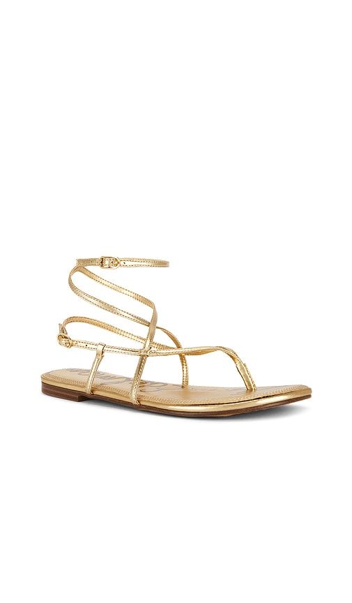 Clarra Sandal in Metallic Gold. - size 6.5 (also in 8, 9.5) - Sam Edelman - Modalova