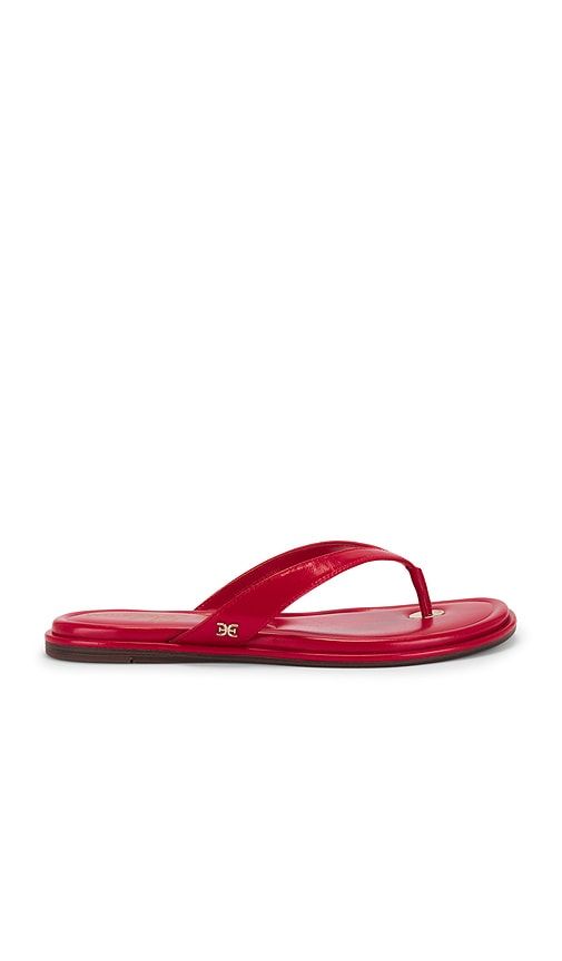 Remi Sandal in Red. - size 10 (also in 6, 6.5, 7, 7.5, 8, 8.5, 9, 9.5) - Sam Edelman - Modalova