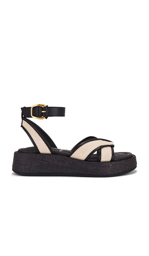 Nylie Sandal in . - size 10 (also in 6, 6.5, 7, 7.5, 8, 8.5, 9, 9.5) - Sam Edelman - Modalova