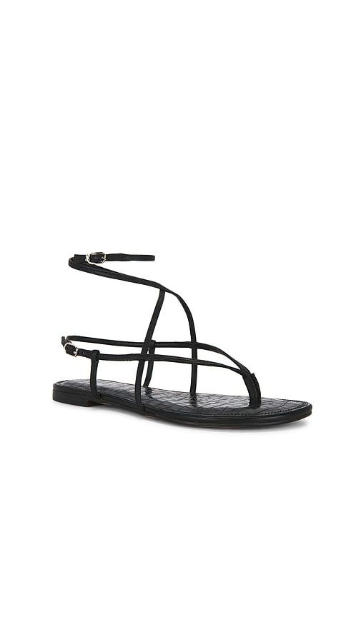 Clarra Sandal in . - size 6 (also in 6.5, 7, 7.5, 8, 8.5, 9, 9.5) - Sam Edelman - Modalova