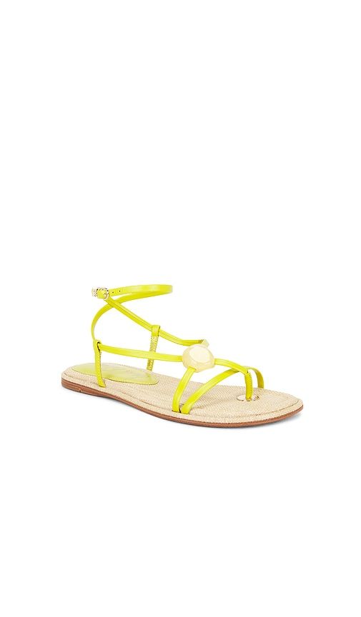 Rillie Sandal in Green. - size 10 (also in 6, 6.5, 7, 7.5, 8, 8.5, 9, 9.5) - Sam Edelman - Modalova