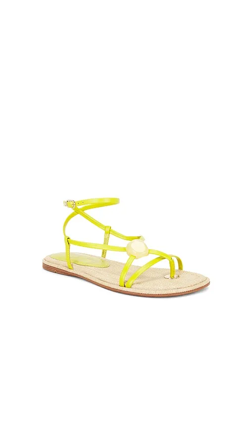 Rillie Sandal in Green. - size 6 (also in 6.5, 7, 7.5, 8, 8.5, 9, 9.5) - Sam Edelman - Modalova