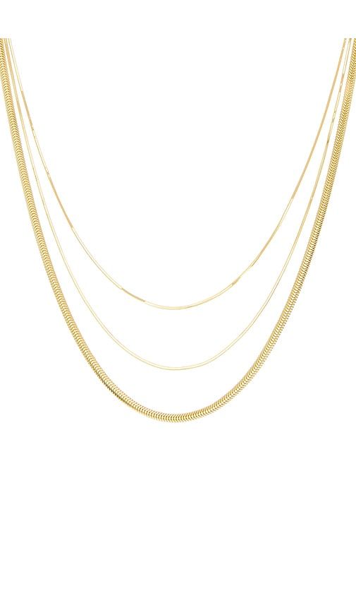 Lenox Chain Necklace in Metallic - SHASHI - Modalova
