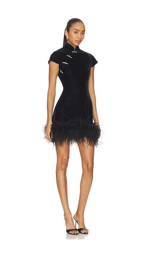 Morgan Velvet Dress in . - size 0 (also in 00, 12, 2, 4, 6, 8) - SAU LEE - Modalova